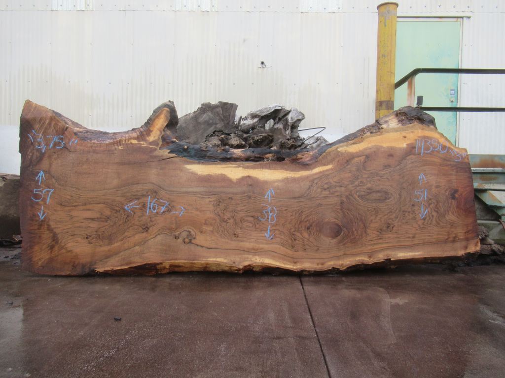 Bastogne Walnut Live Edge #006