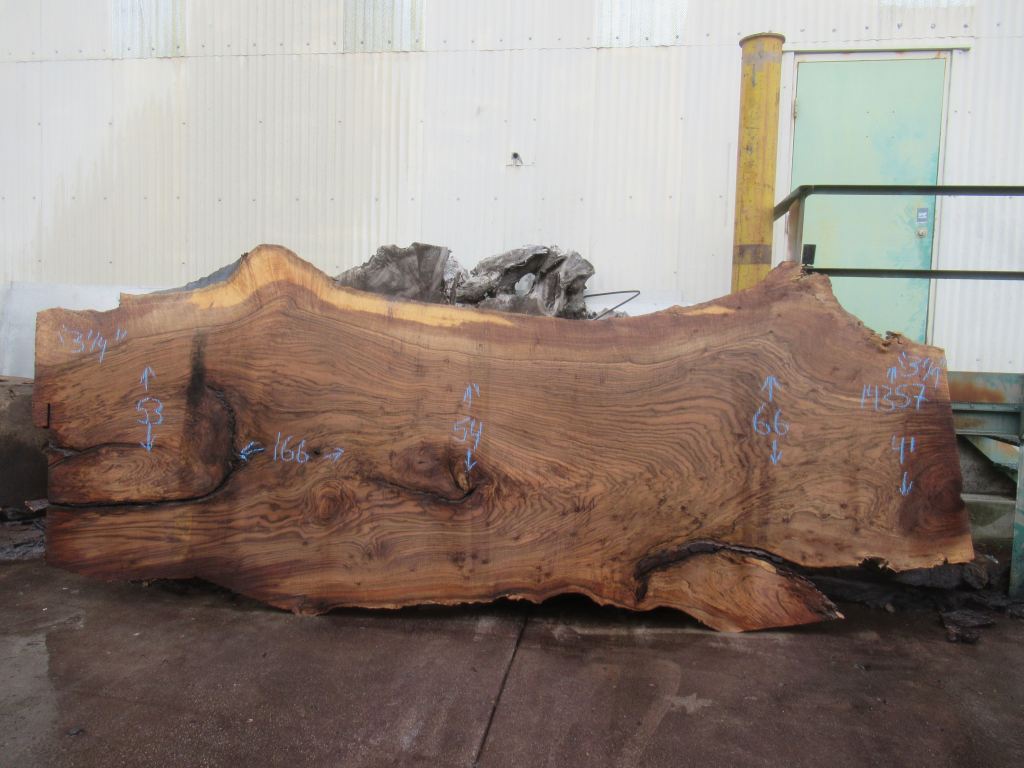 Bastogne Walnut Live Edge #008