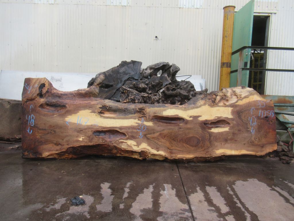 Bastogne Walnut Live Edge #009