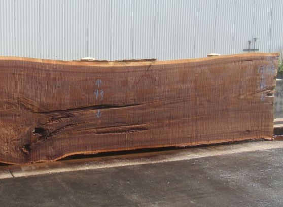 Elm Live Edge #17089-B