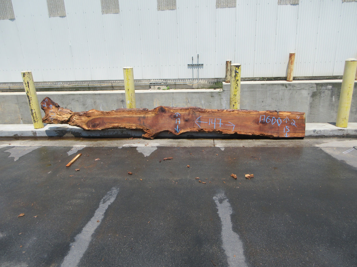 Claro Walnut Slab #17600