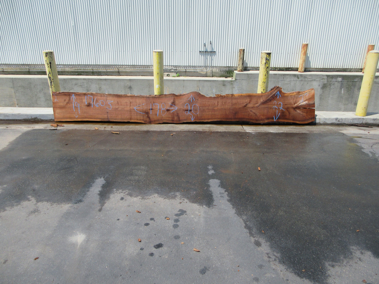 Claro Walnut Slab #17603