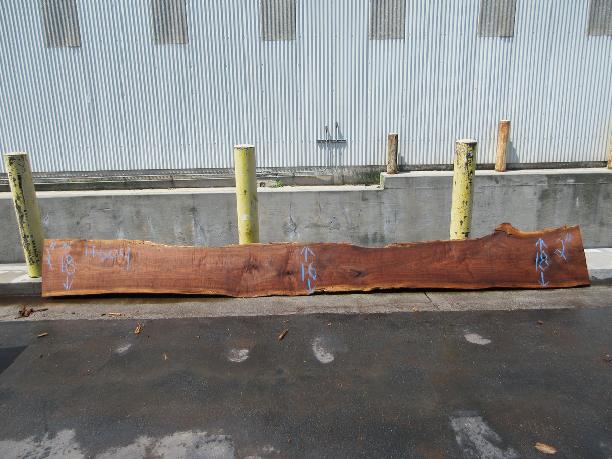 Claro Walnut Slab #17604