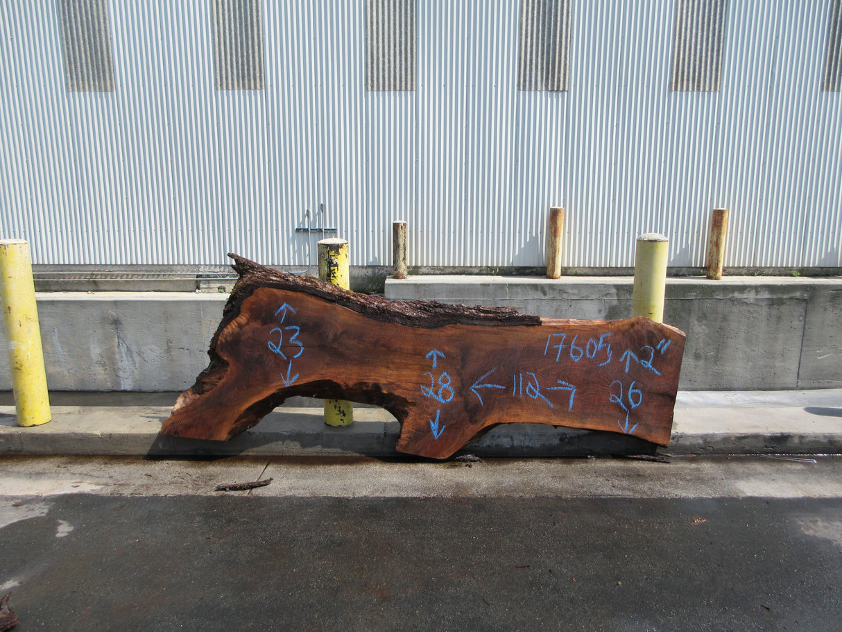 Claro Walnut Slab #17605