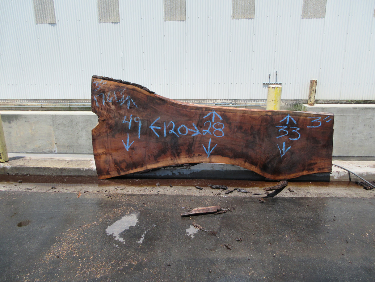 Claro Walnut Slab #17613