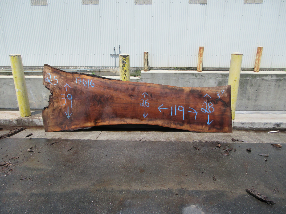 Claro Walnut Slab #17616