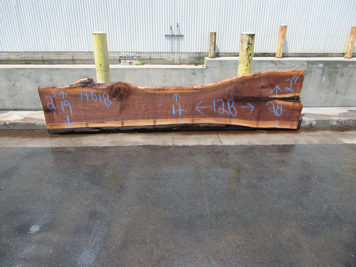 Claro Walnut Slab #17618