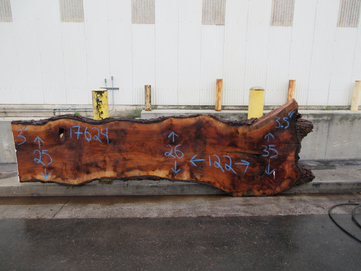 Claro Walnut Slab #17624
