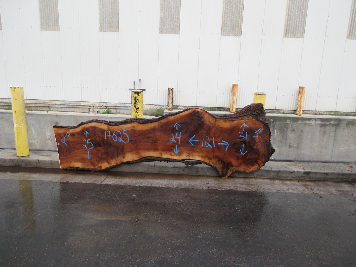 Claro Walnut Slab #17625
