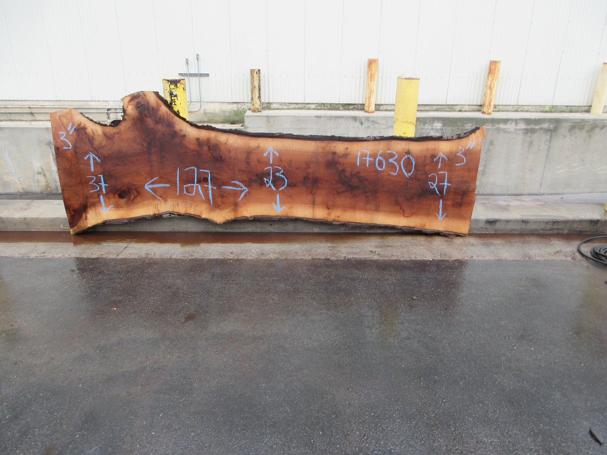 Claro Walnut Slab #17624