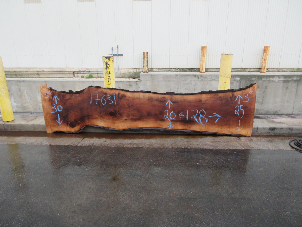 Claro Walnut Slab #17631