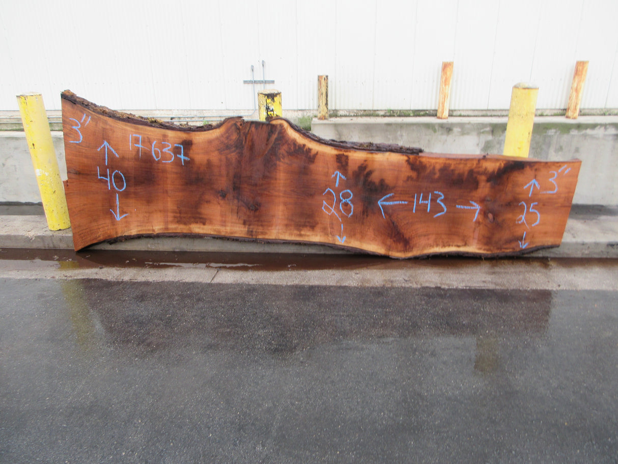 Claro Walnut Slab #17637