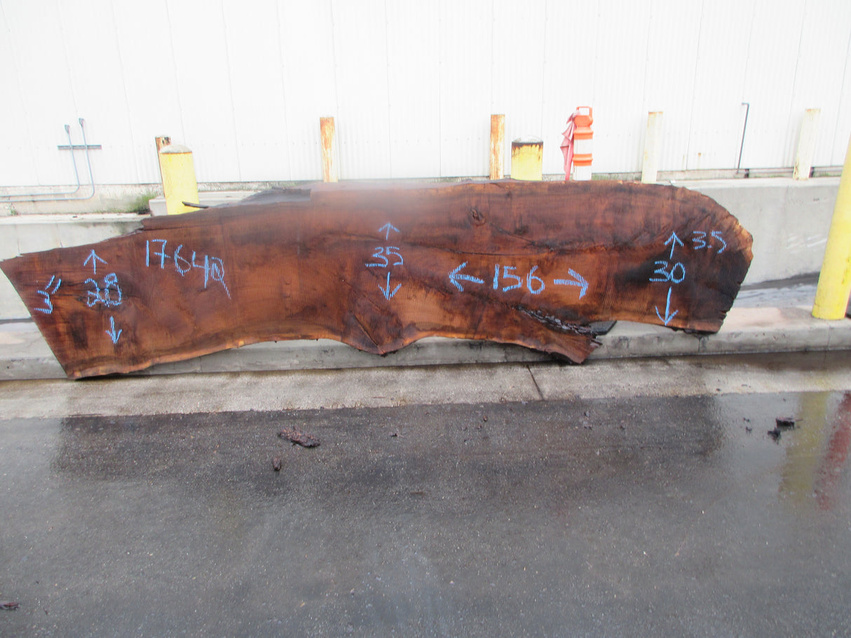 Claro Walnut Slab #17642