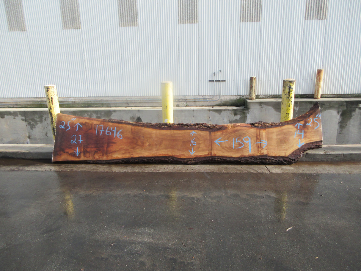 Claro Walnut Slab #17646