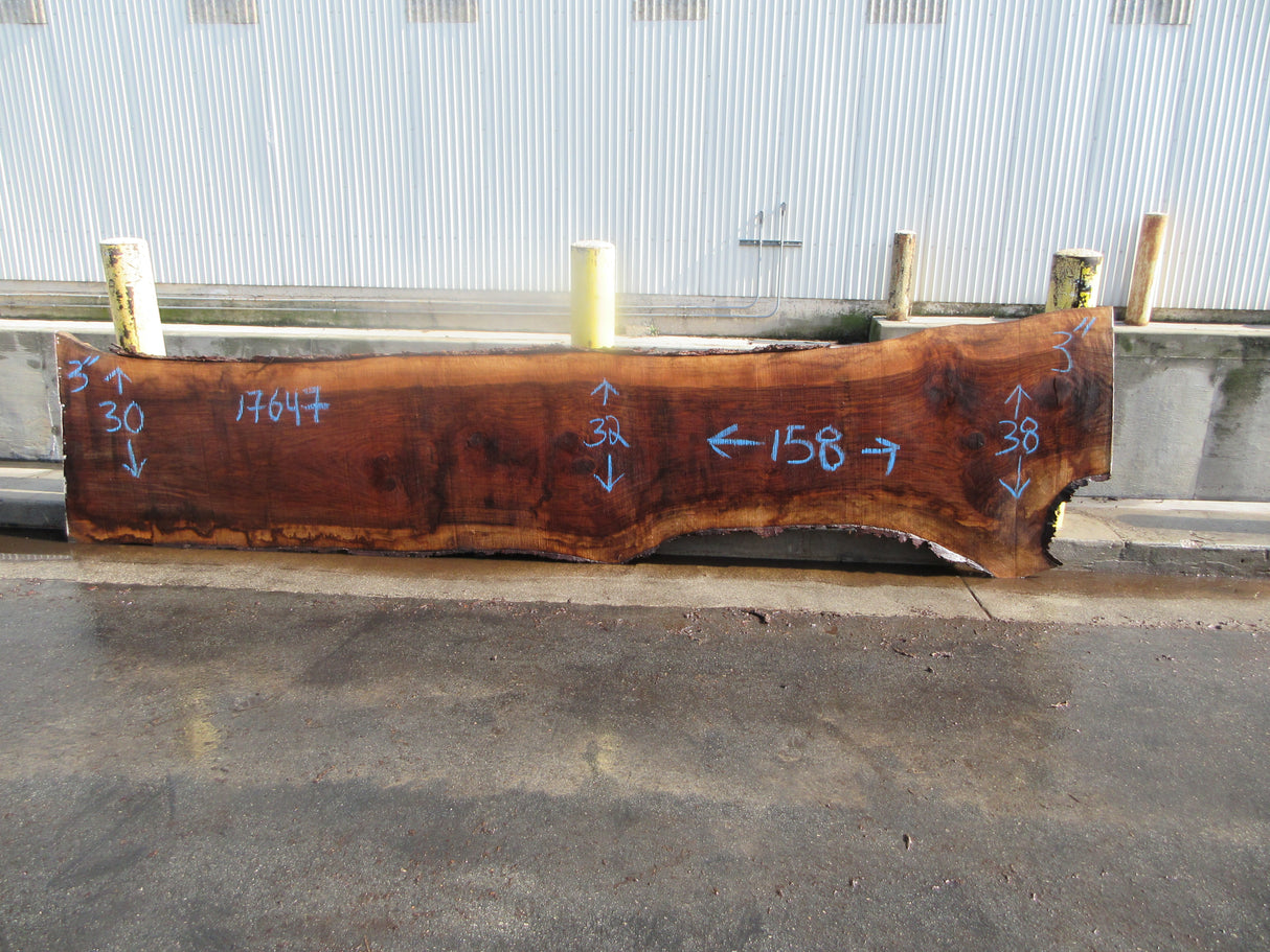 Claro Walnut Slab #17647