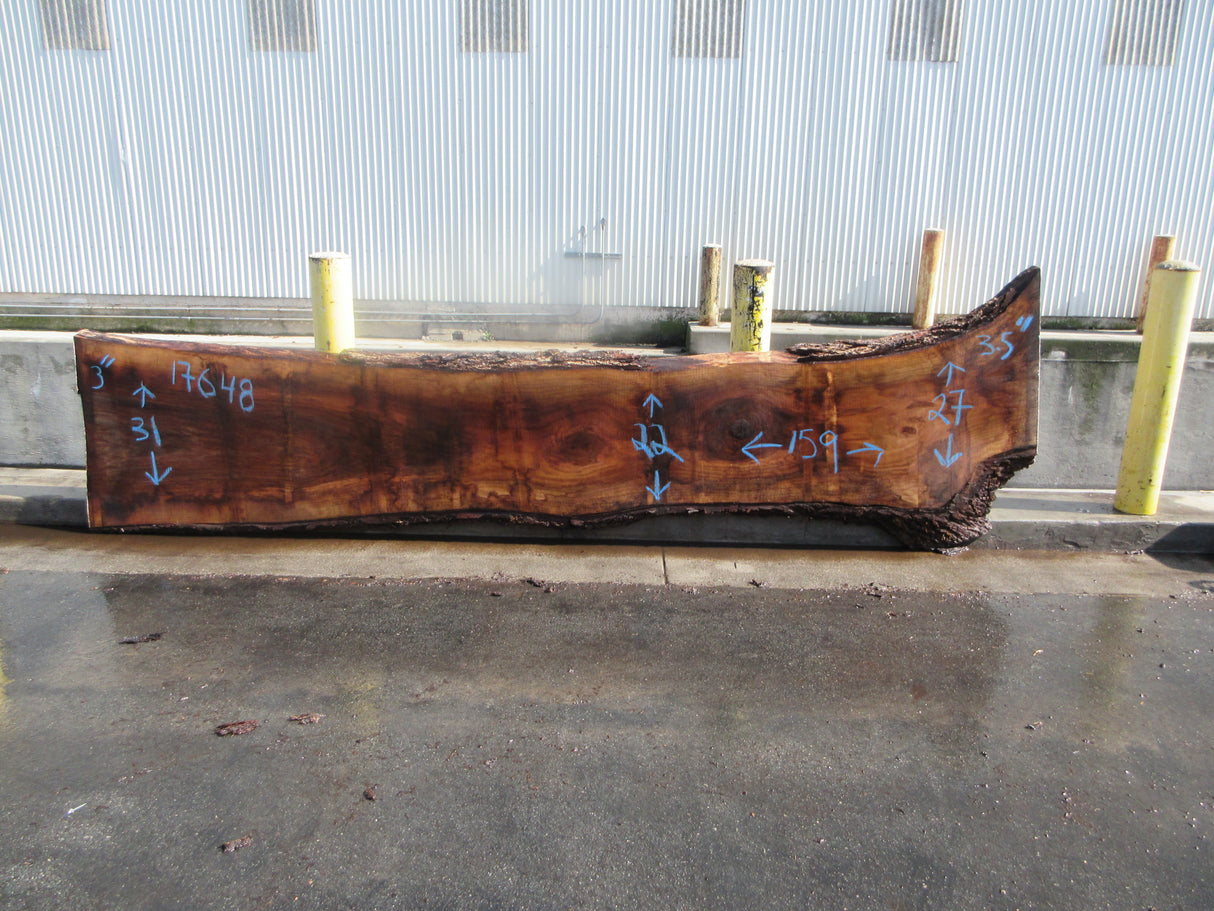 Claro Walnut Slab #17648