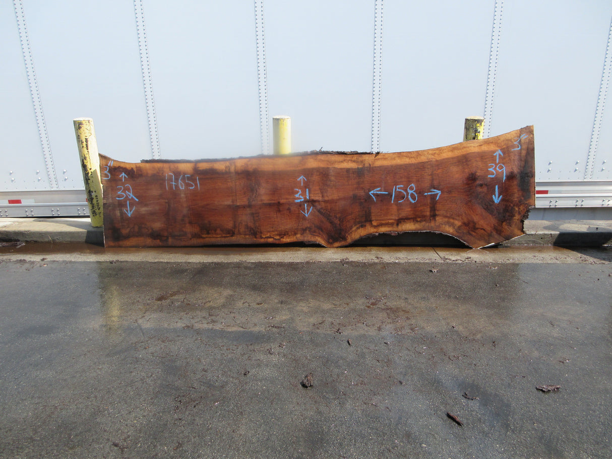 Claro Walnut Slab #17651