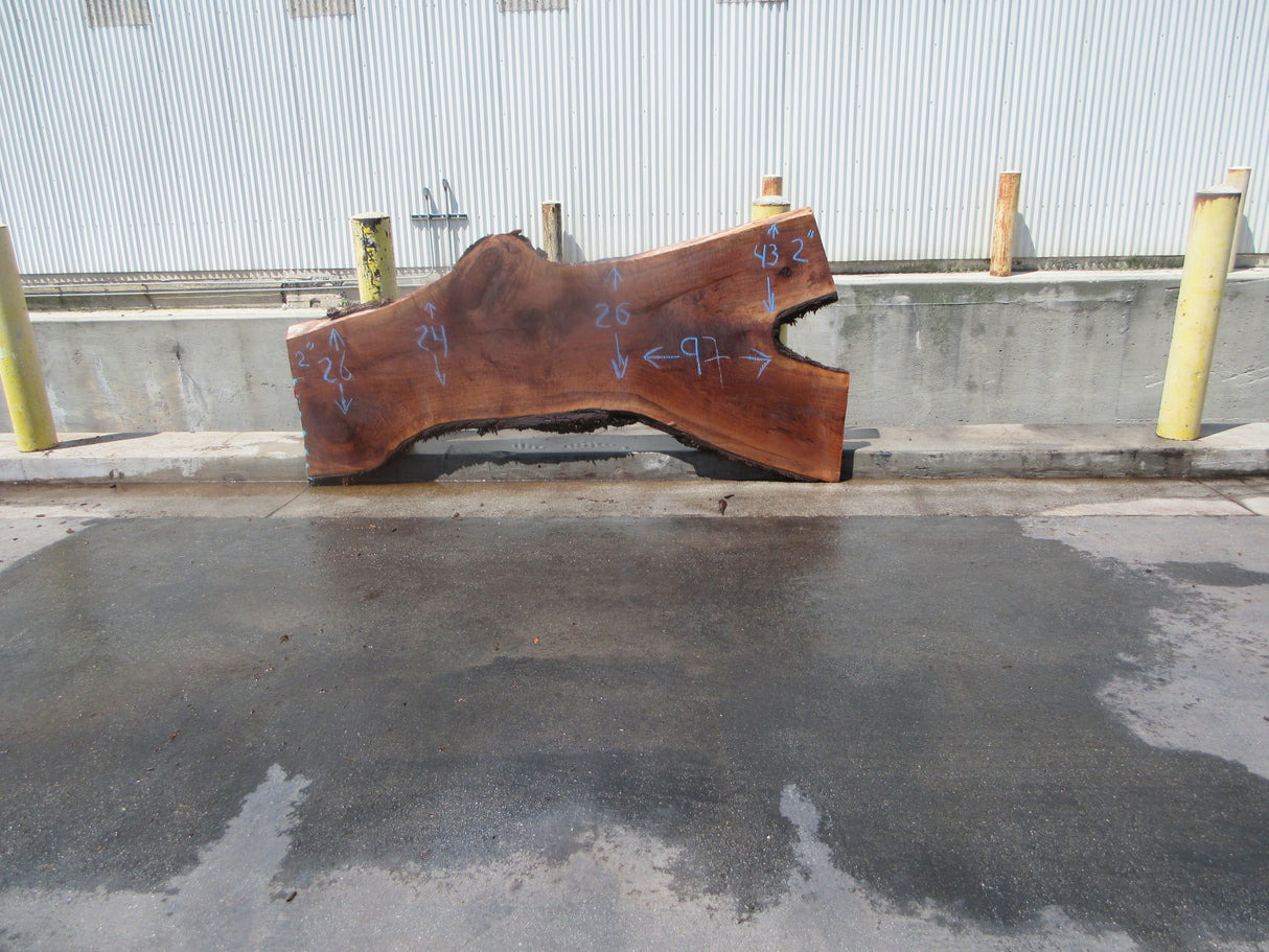 Claro Walnut Slab #17654