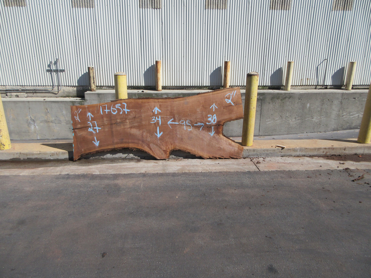 Claro Walnut Slab #17657