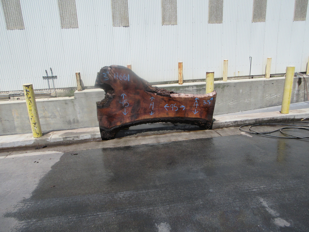 Claro Walnut Slab #17661