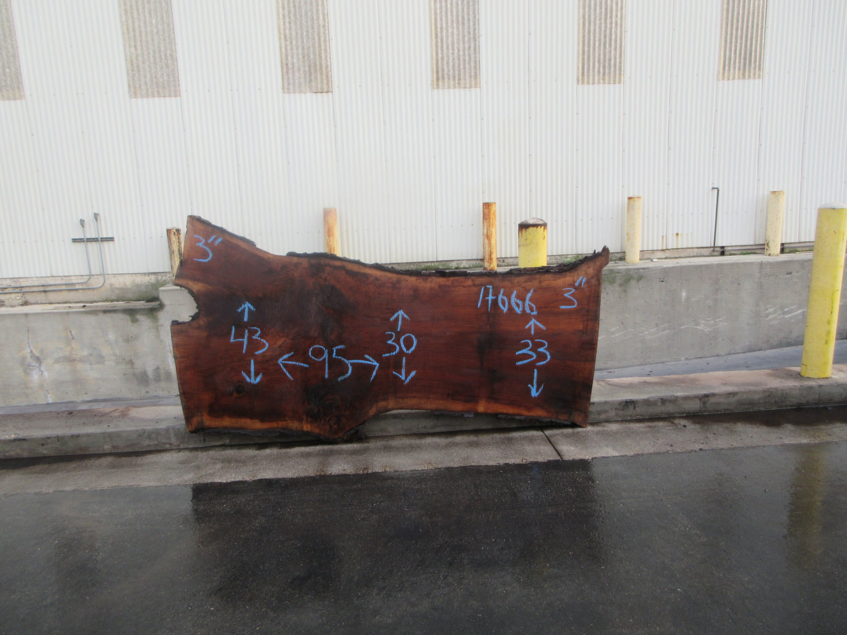 Claro Walnut Slab #17666