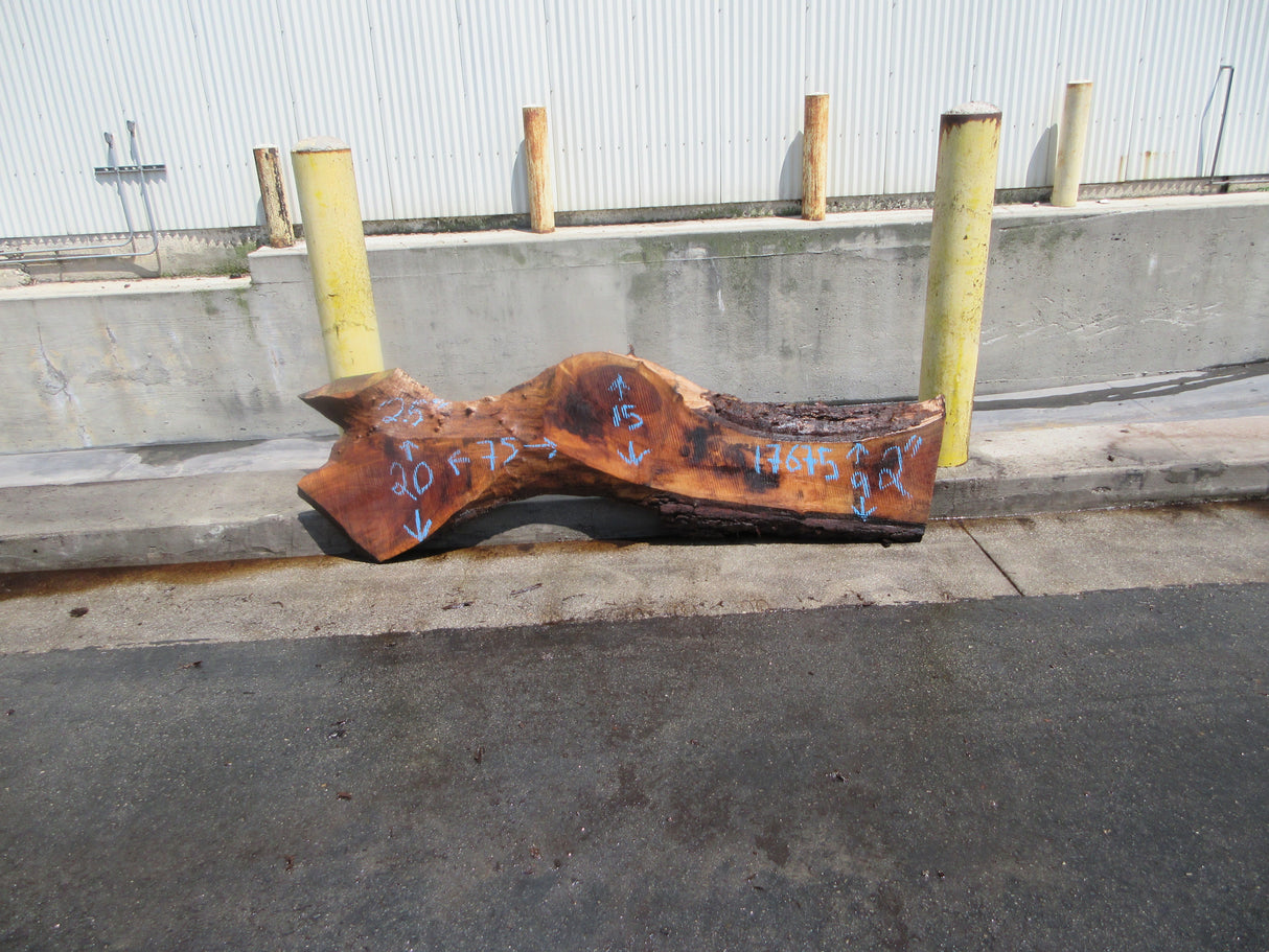 Claro Walnut Slab #17675