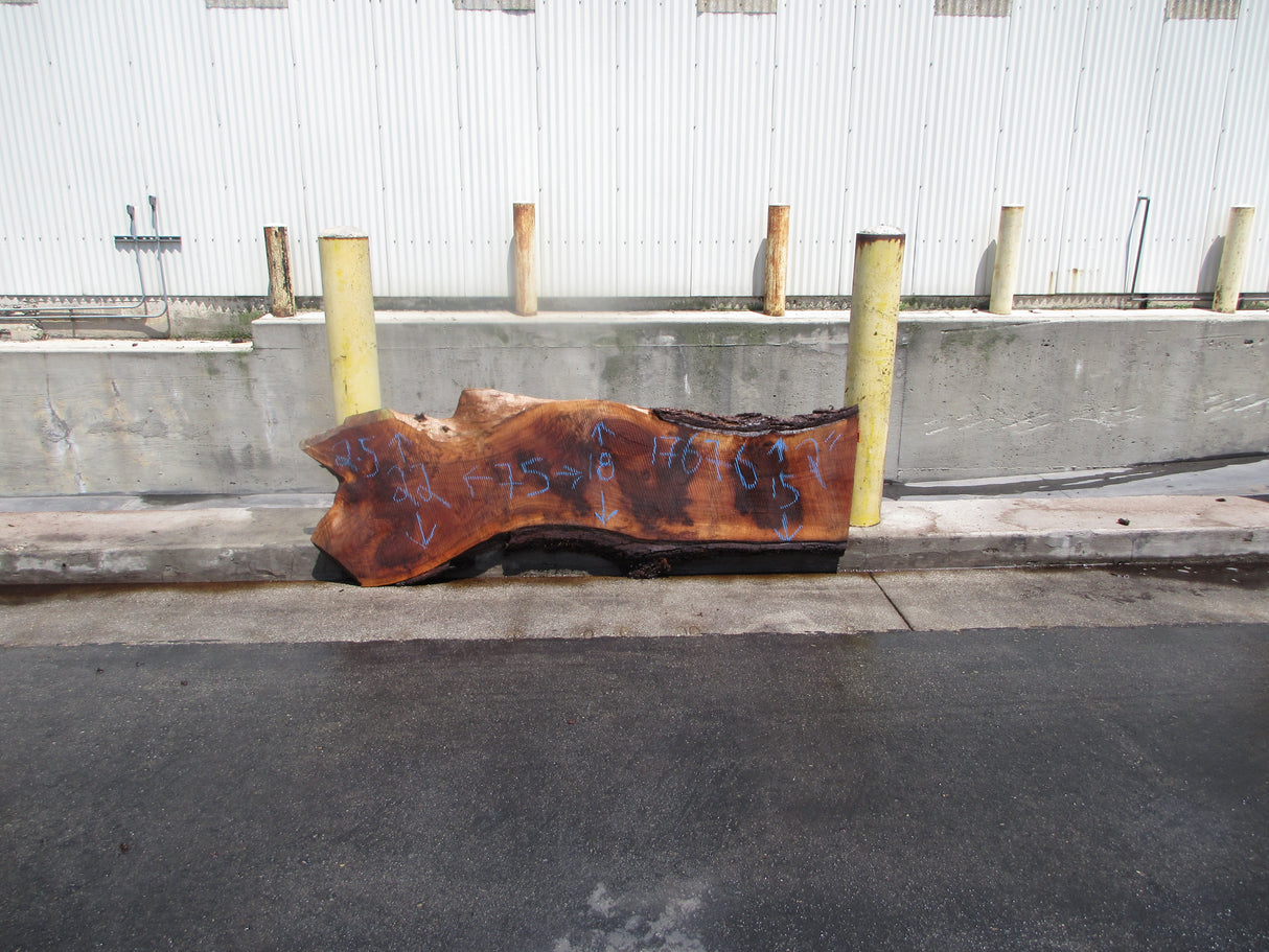 Claro Walnut Slab #17676