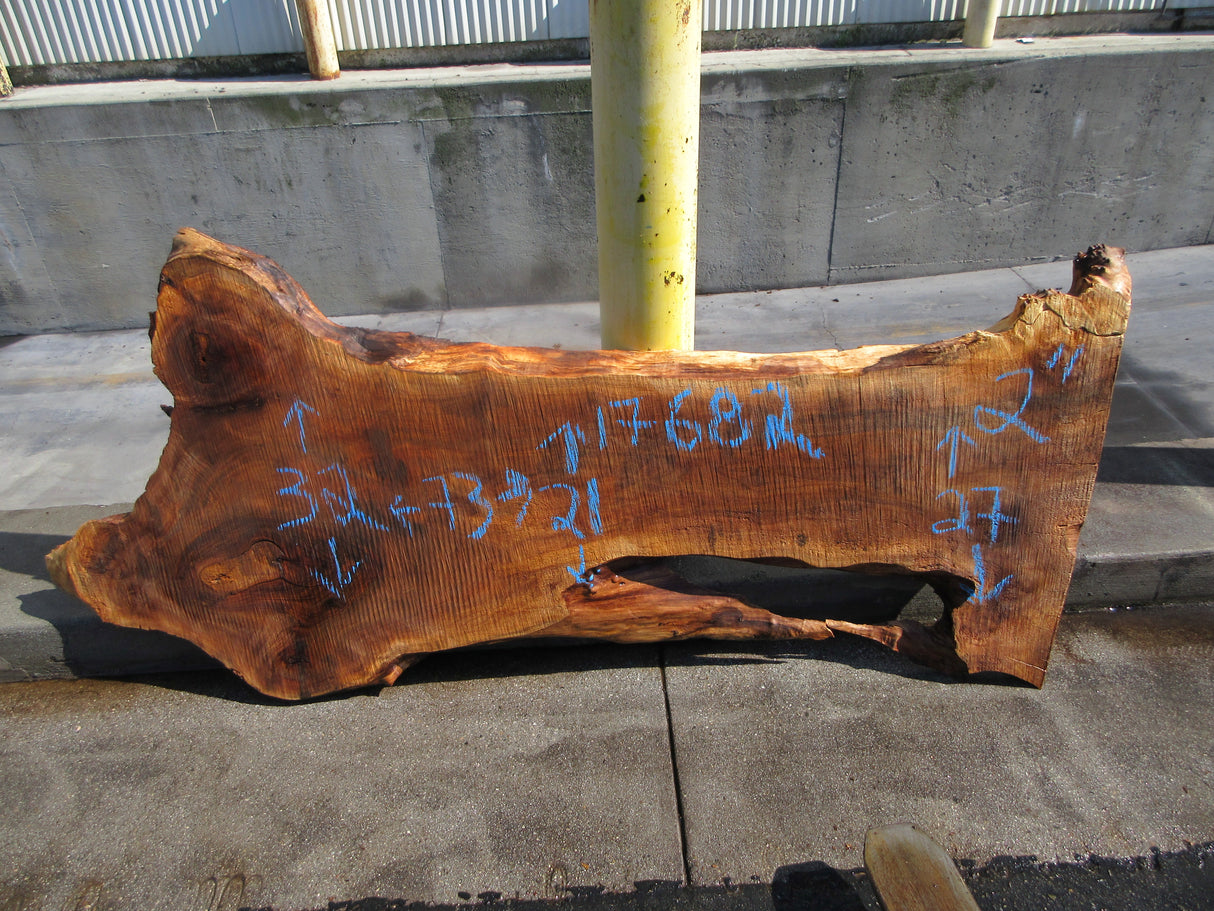 Claro Walnut Slab #17682