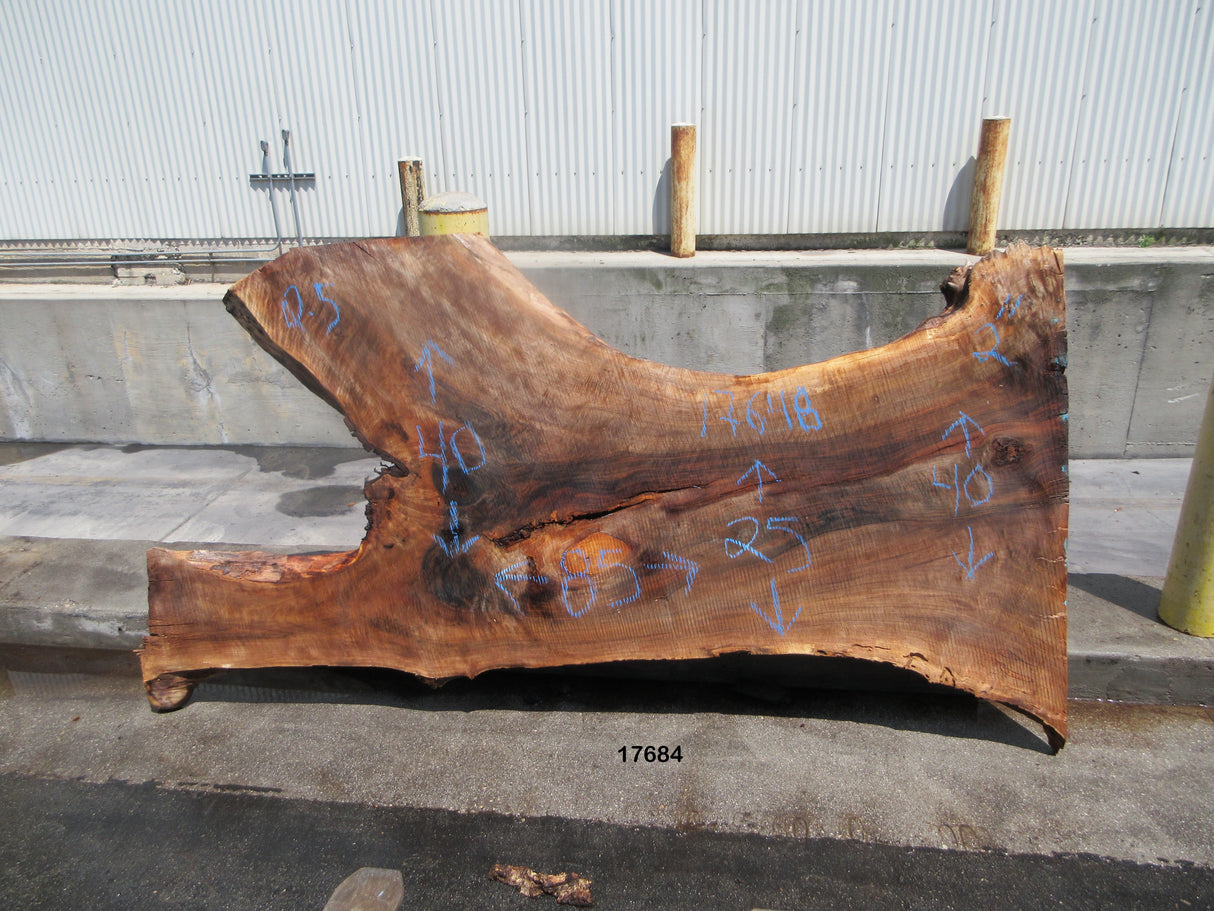Claro Walnut Slab #17684