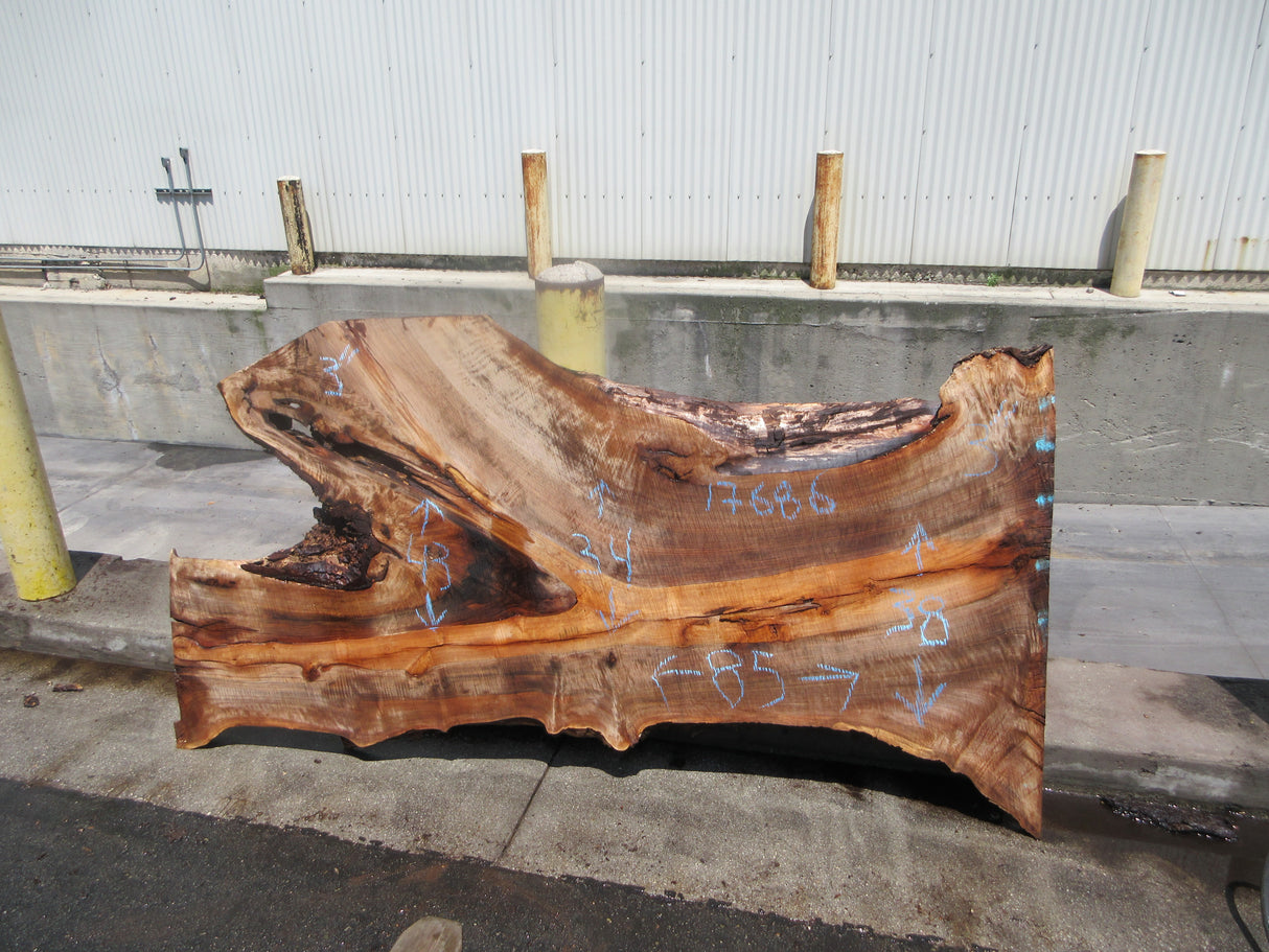 Claro Walnut Slab #17686