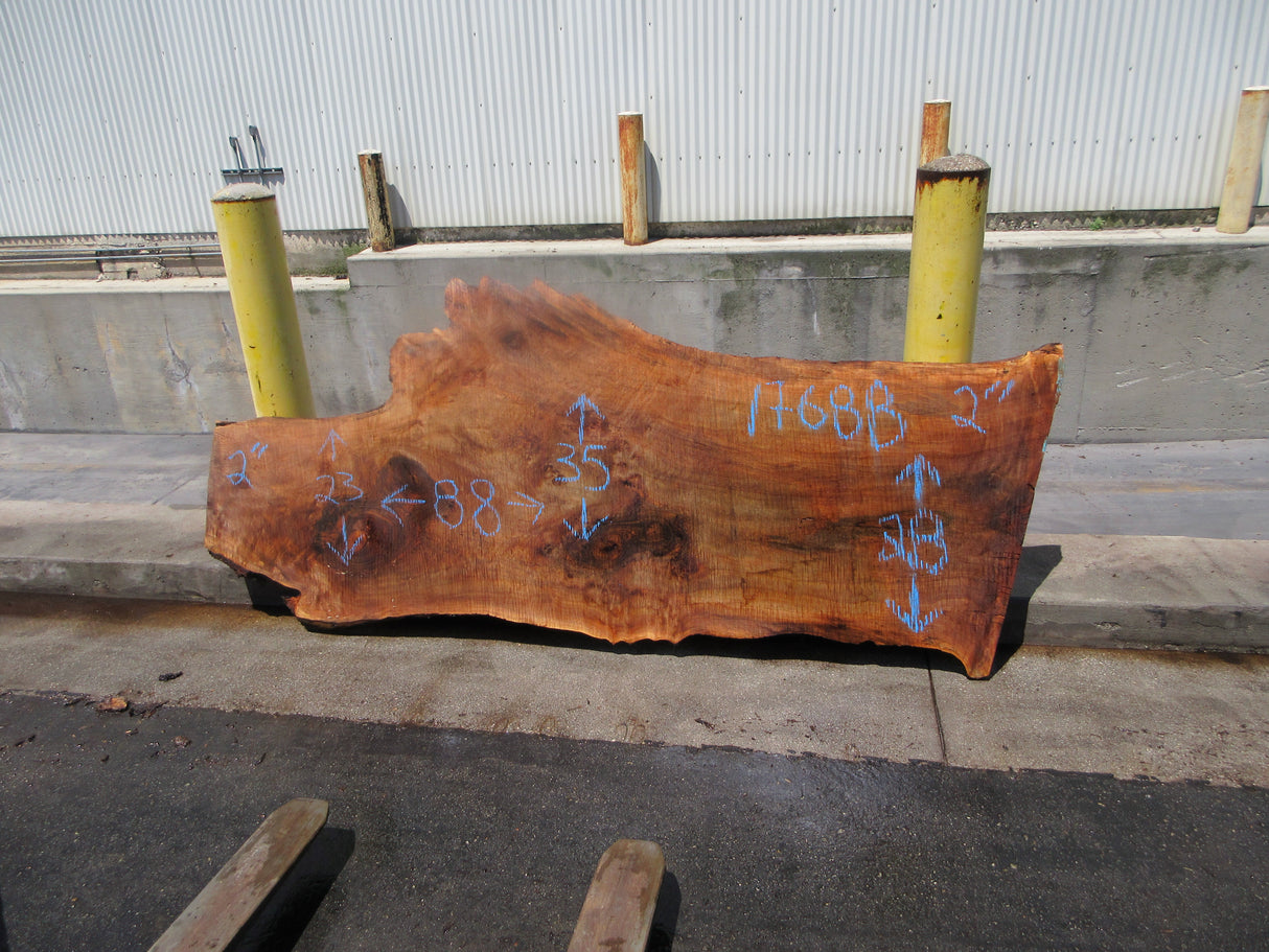 Claro Walnut Slab #17688