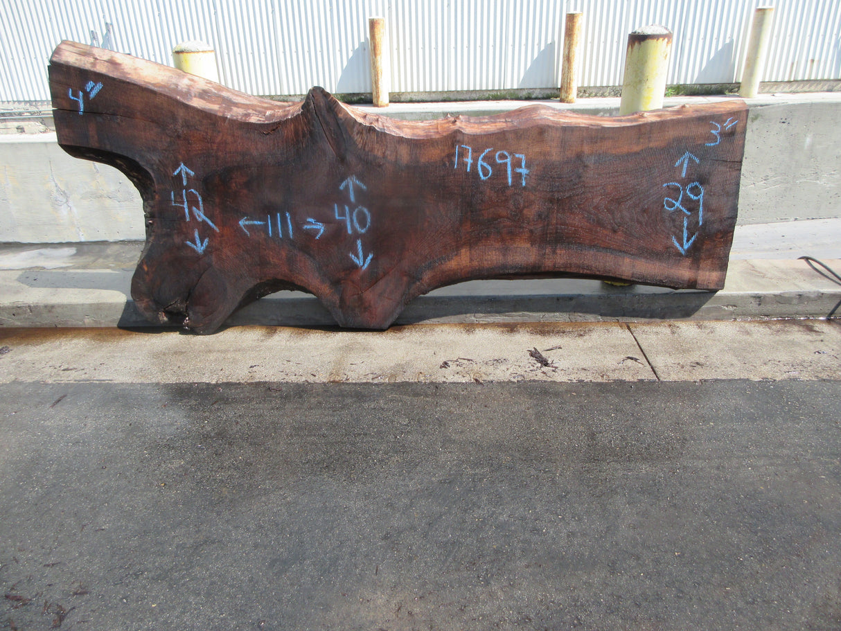 Claro Walnut Slab #17697