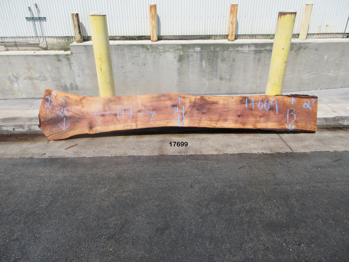 Claro Walnut Slab #17699