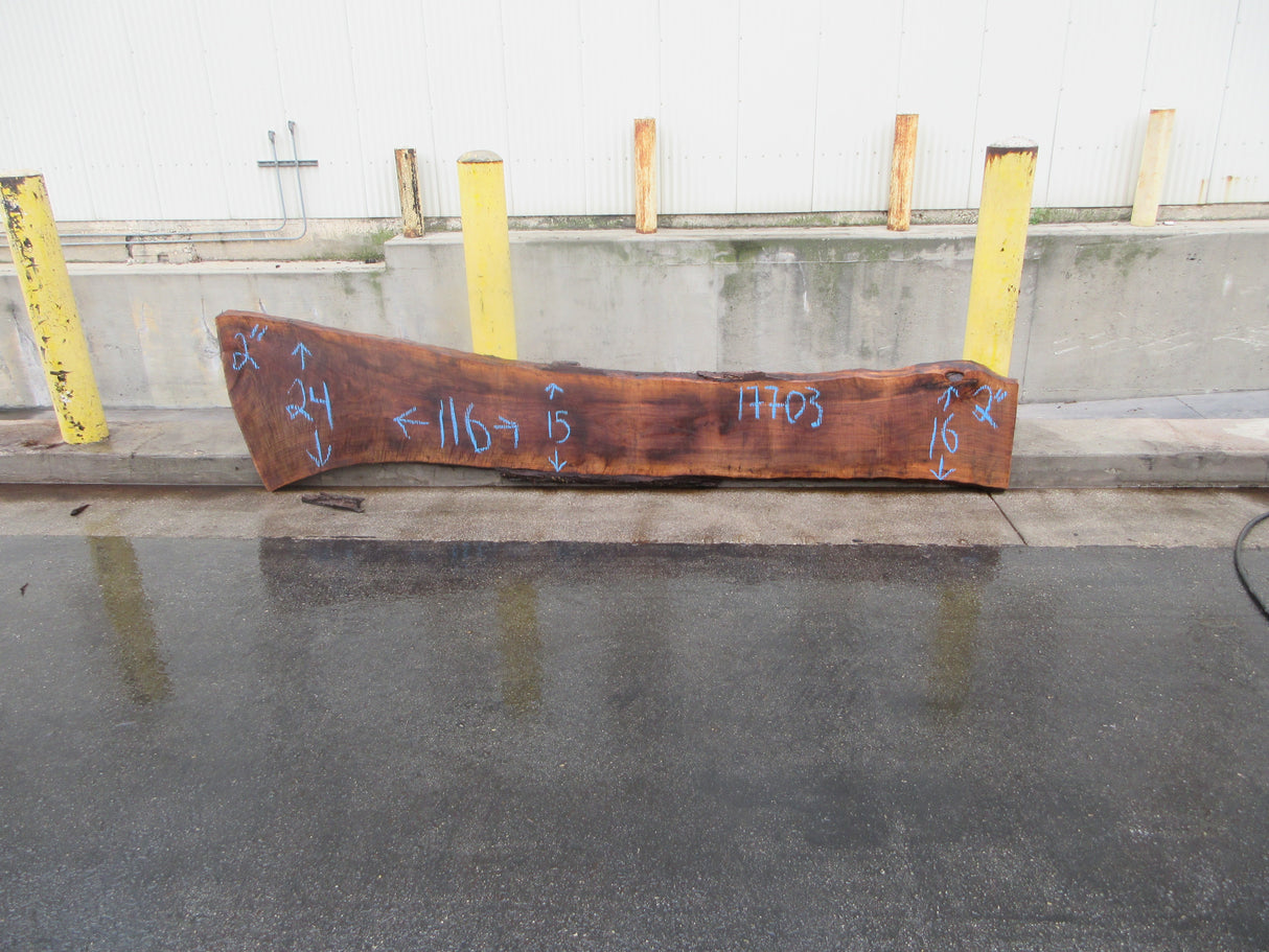 Claro Walnut Slab #17703