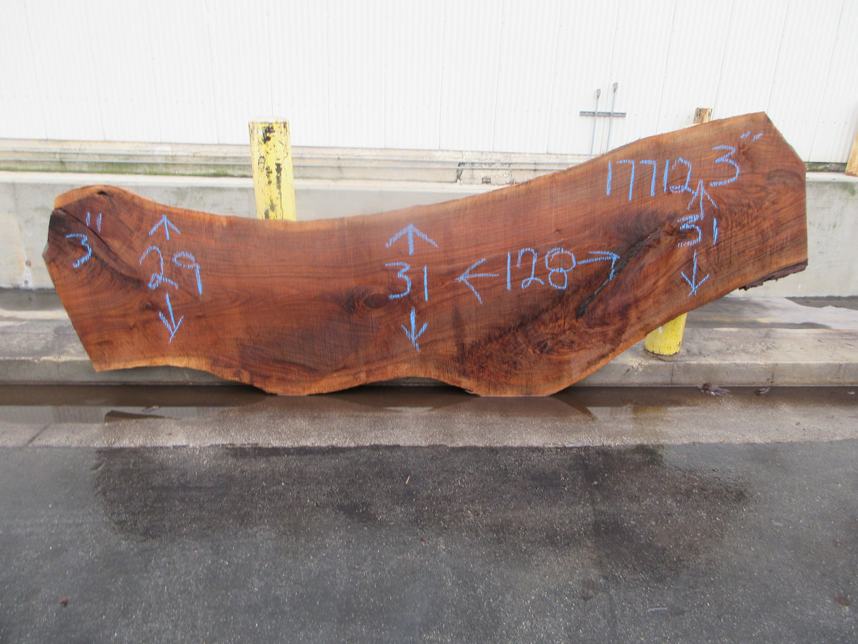 Claro Walnut Slab #17712