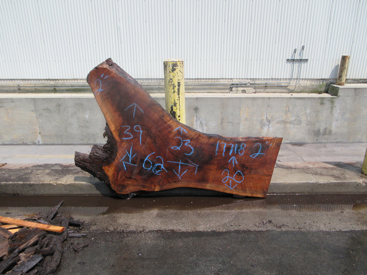 Claro Walnut Slab #17718