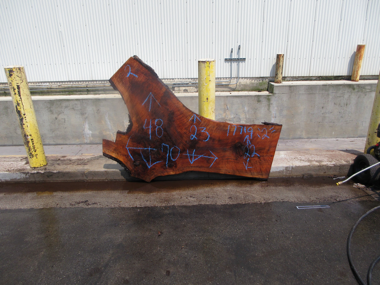 Claro Walnut Slab #17719