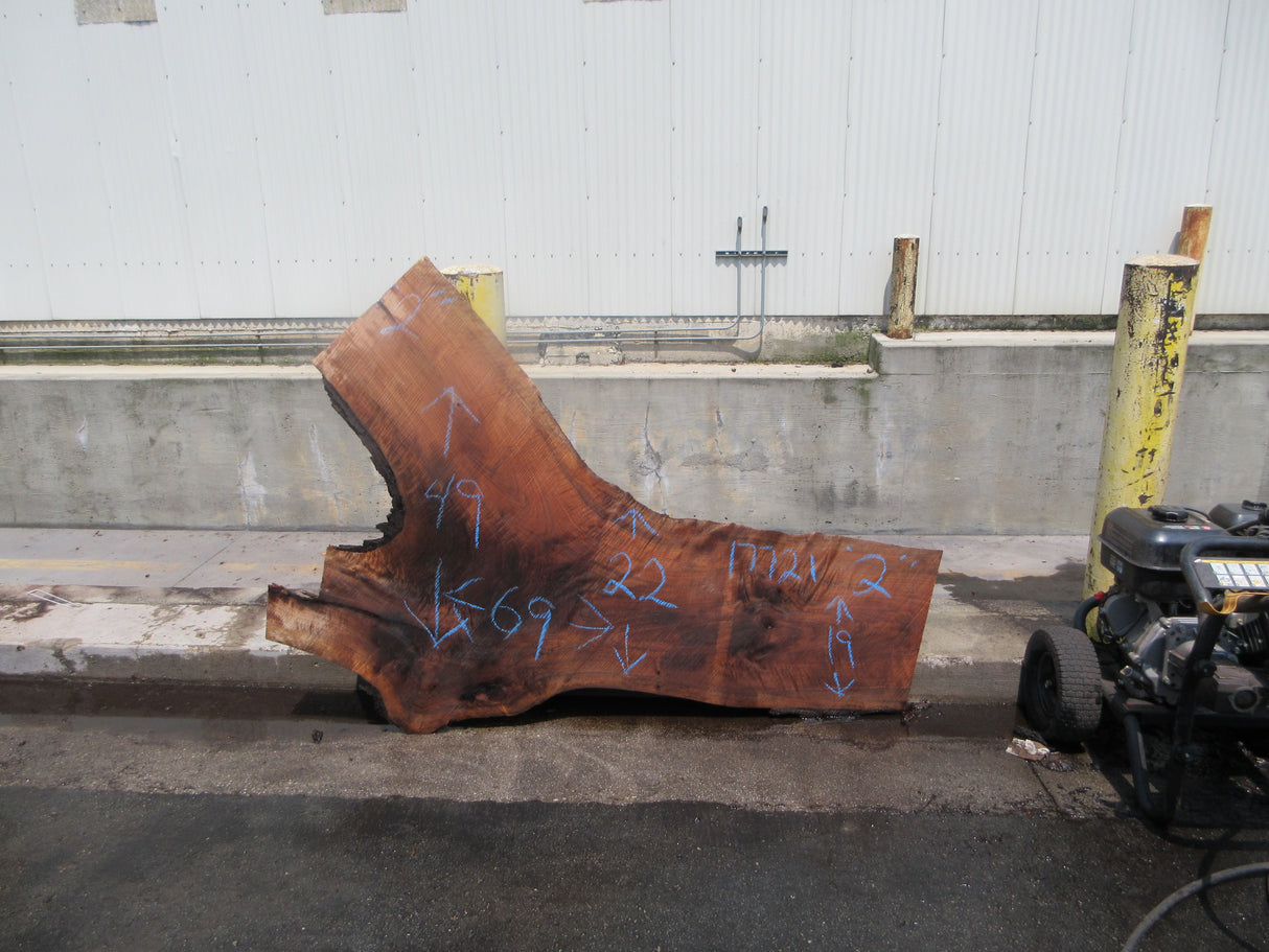 Claro Walnut Slab #17721