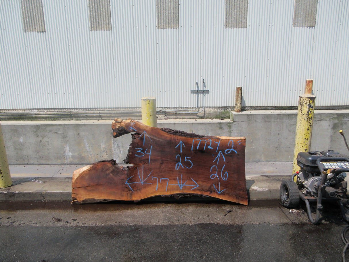 Claro Walnut Slab #17724