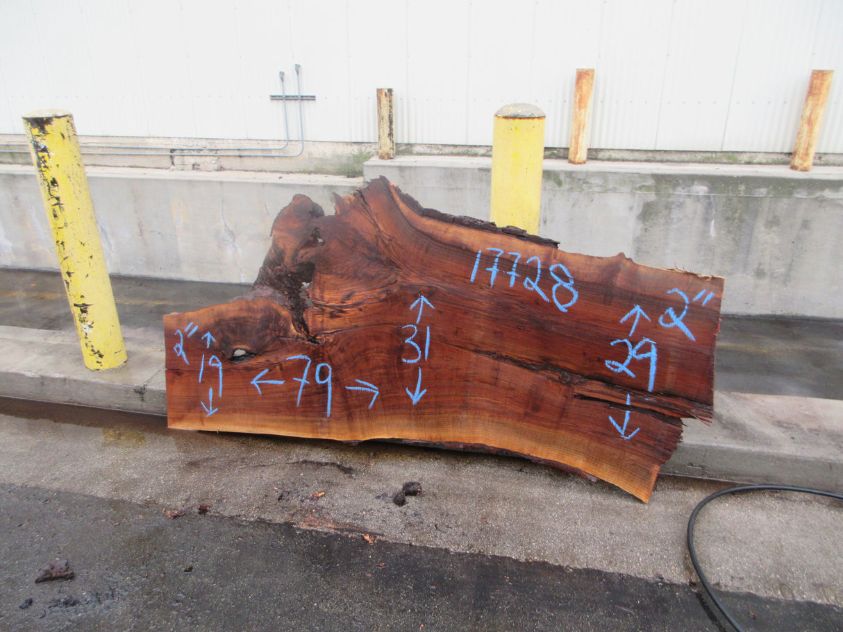 Claro Walnut Slab #17728