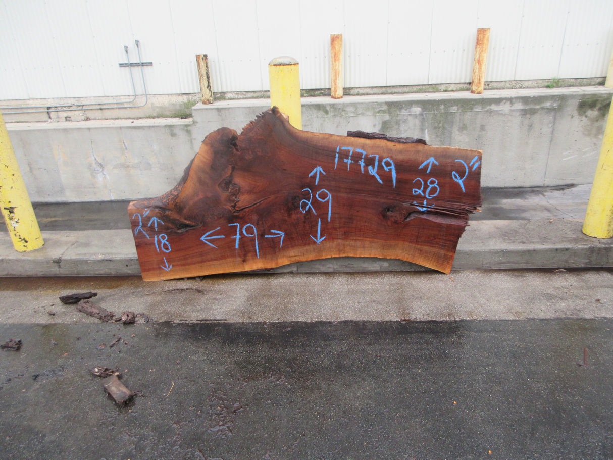 Claro Walnut Slab #17729