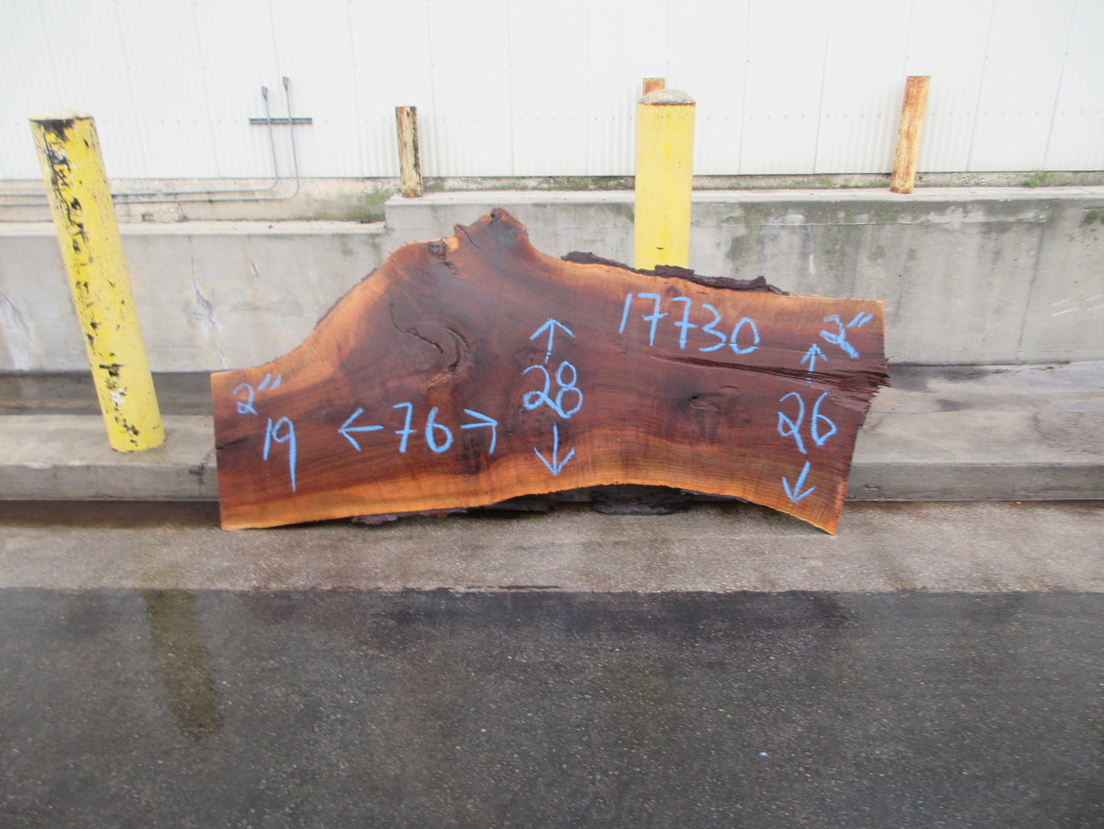 Claro Walnut Slab #17730