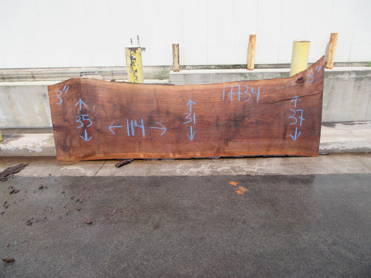 Claro Walnut Slab #17734
