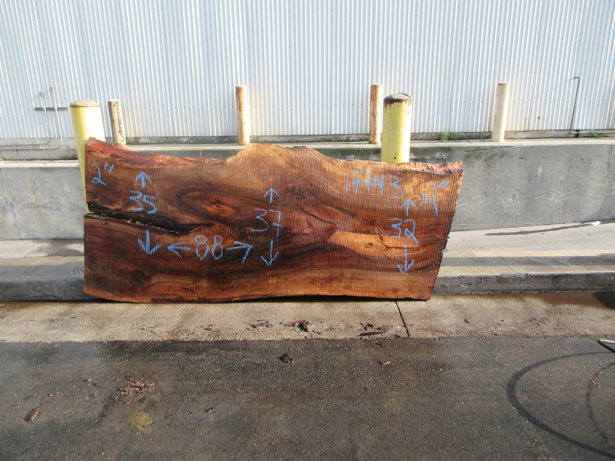 Claro Walnut Slab #17743