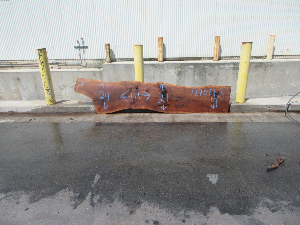 Claro Walnut Slab #17751