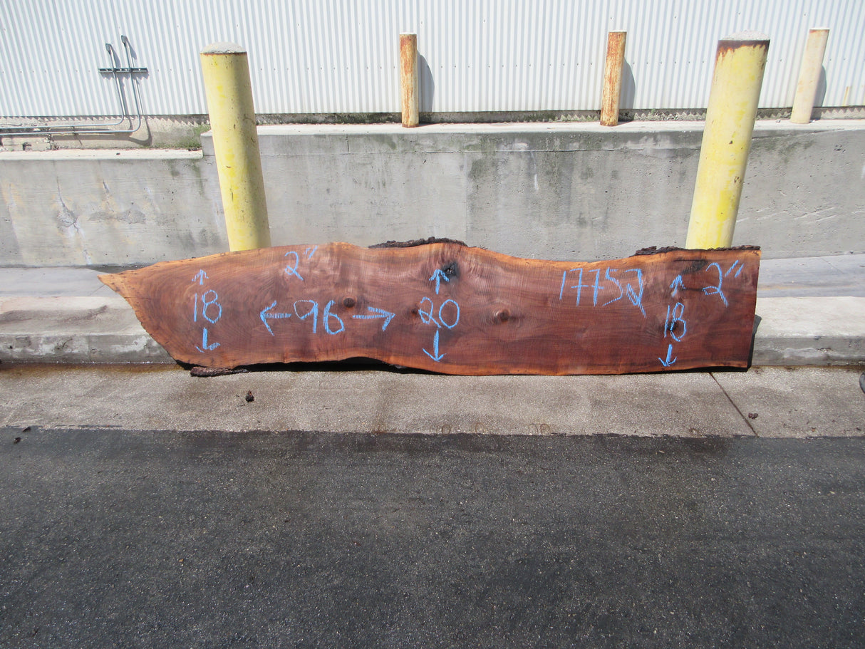 Claro Walnut Slab #17752