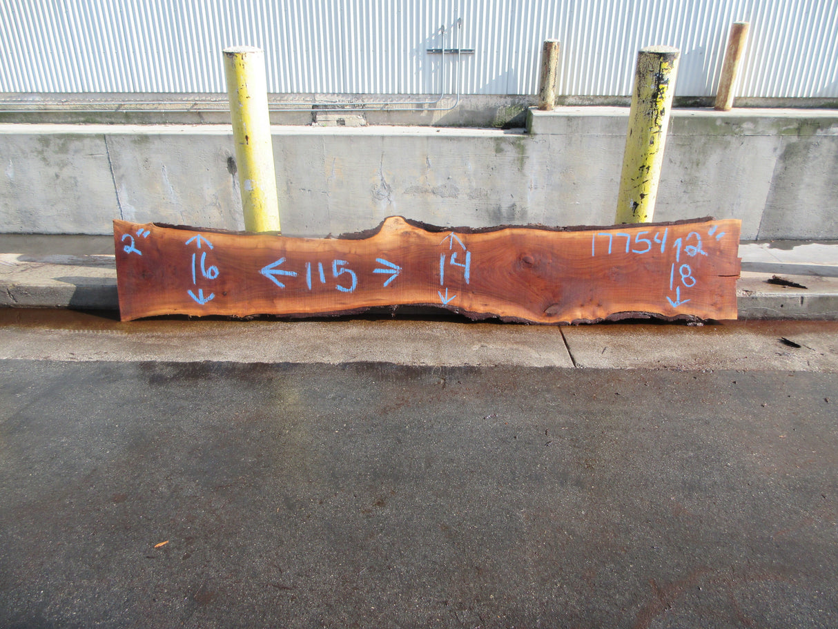 Claro Walnut Slab #17754