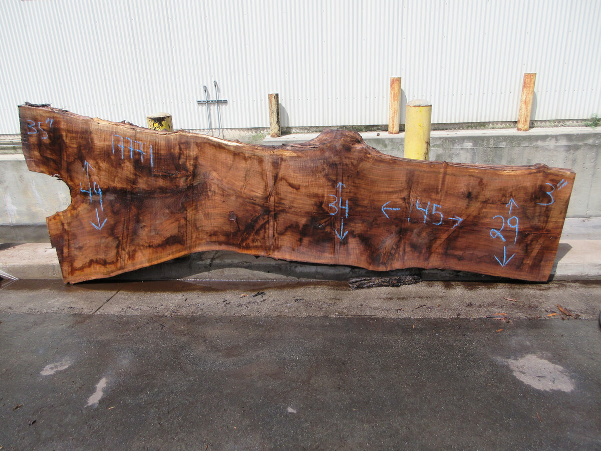 Claro Walnut Slab #17771