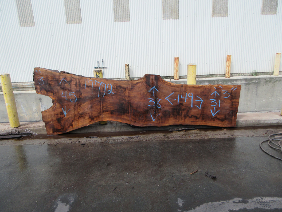 Claro Walnut Slab #17772