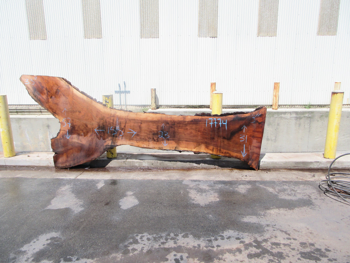 Claro Walnut Slab #17774